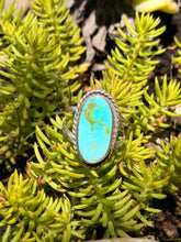 Load image into Gallery viewer, Turquoise ring on green plants